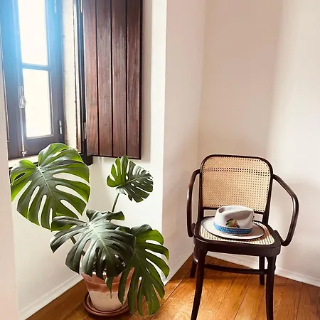 Holiday home Like-home-t2-kina House-patio